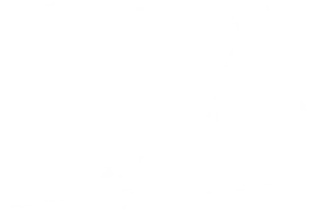 Lia Bar